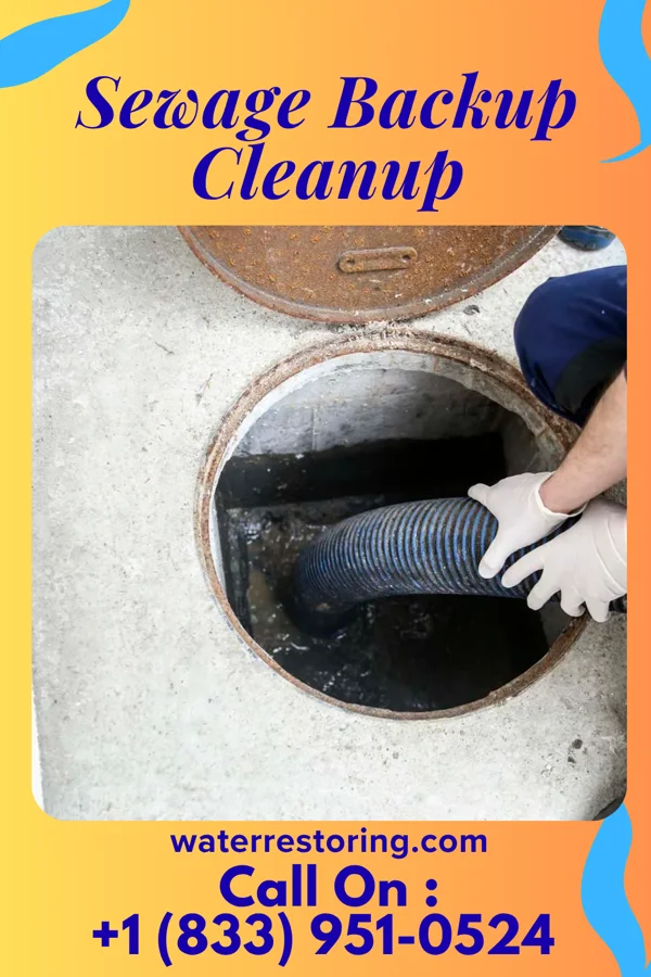 Sewage Backup Cleanup in Overland, MO