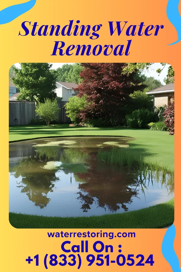 Standing Water Removal in Overland, MO